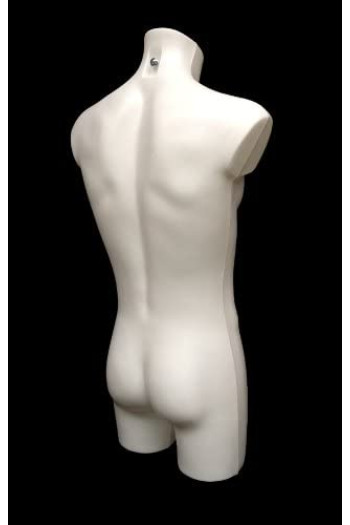 Busto uomo